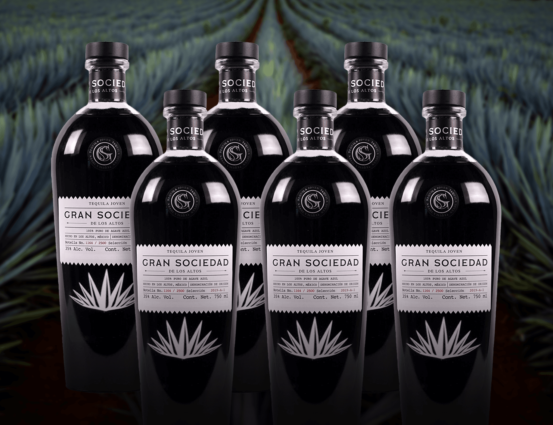 Caja con seis botellas de Tequila Gran Sociedad frente a un campo de agave